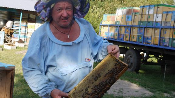 Долгий путь к Медовому Спасу