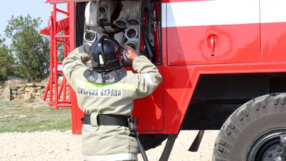 Коровы чуть не сгорели в селе Сотниковском