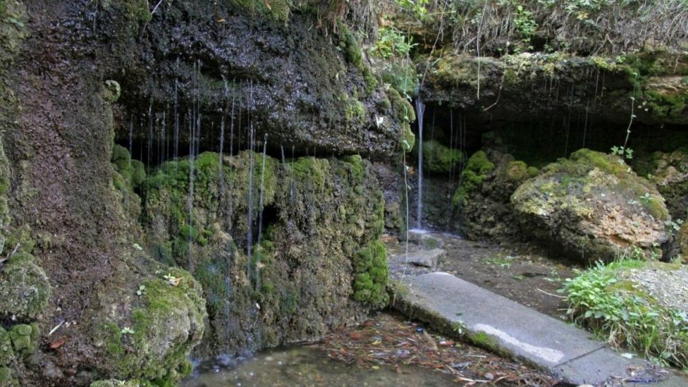 В Железноводске откроют экопарк с массажной тропой