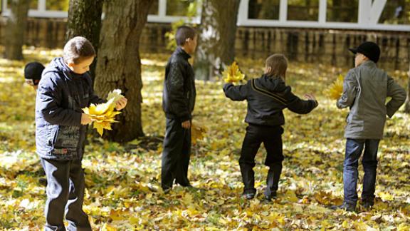 Как россияне планируют отметить ноябрьские праздники