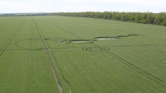 На ставропольском поле обнаружены круги неизвестного происхождения