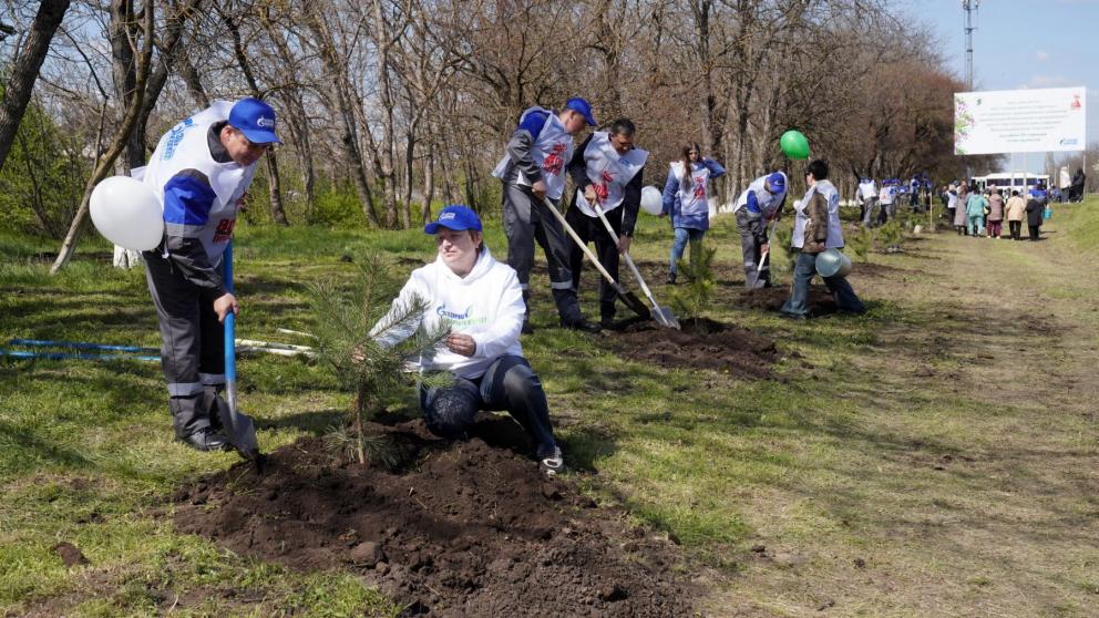 Работники Общества «Газпром трансгаз Ставрополь» принимают участие в акции «Сад памяти»