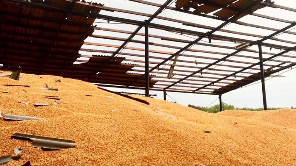 От непогоды на Ставрополье пострадали предприятия АПК