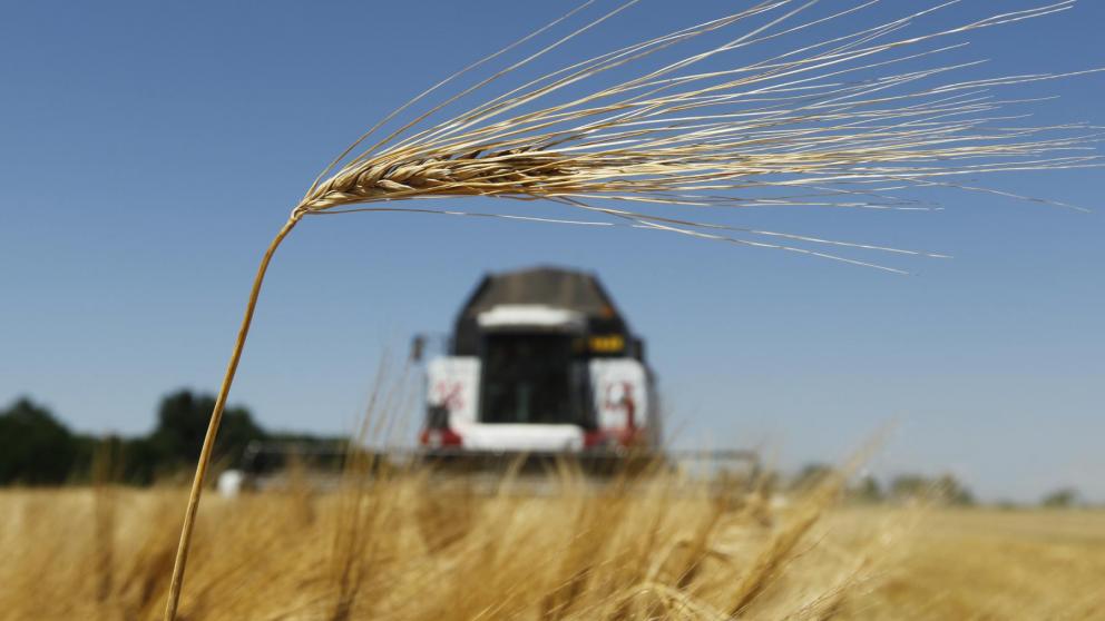 Жатва на Ставрополье набирает обороты