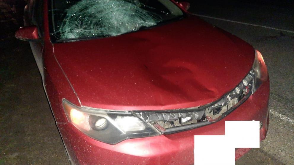 На Ставрополье пешеход погиб под колёсами иномарки