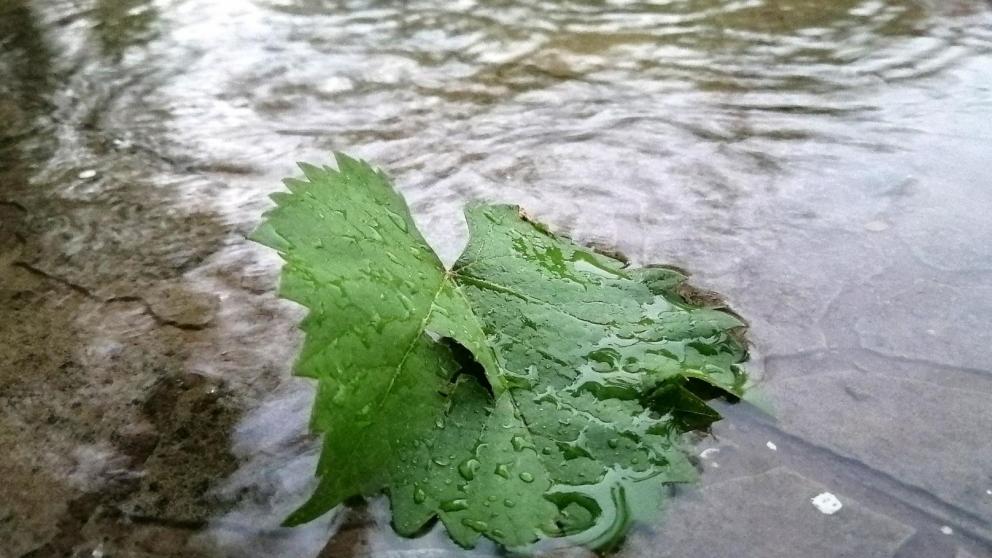 В Ипатовском округе Ставрополья завершается ликвидация последствий стихии