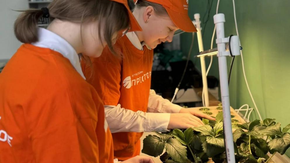 Учащиеся агрокласса в селе Минераловодского округа подготовили к весне яблоневый сад