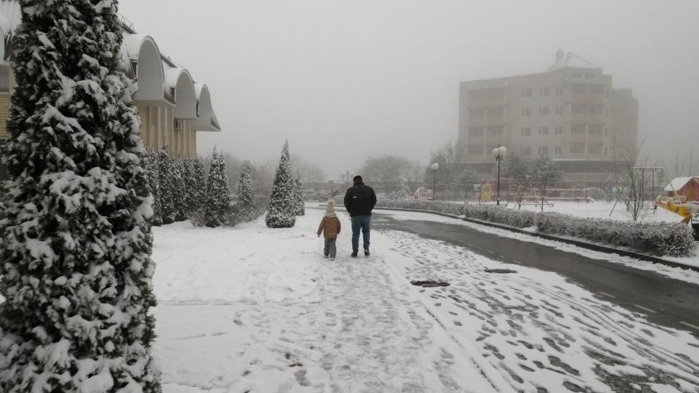 Ставропольские семьи используют материнский капитал по разным направлениям