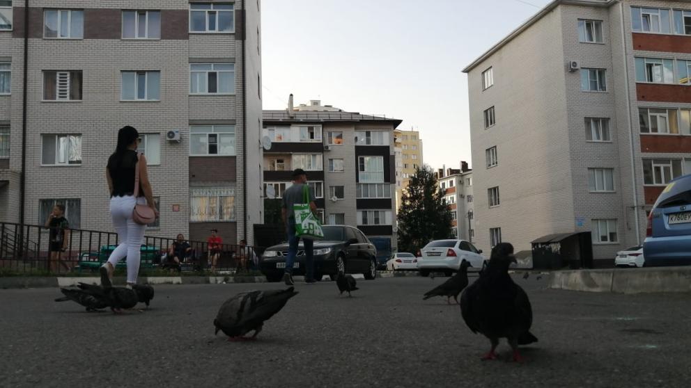 В Минводах отремонтируют подвал дома после затопления минеральными источниками