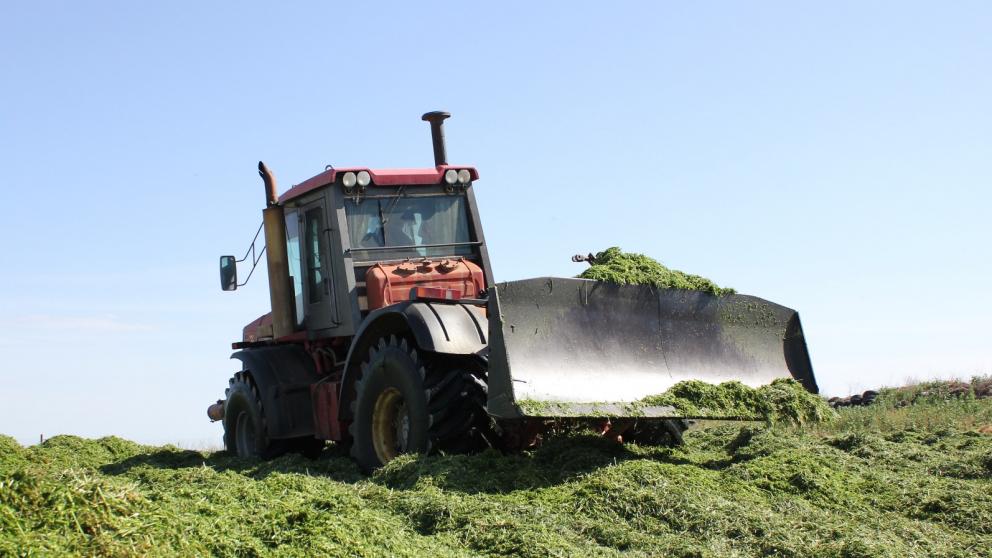 На Ставрополье началась заготовка кормов для животных