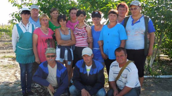 Определены лучшие виноградарские бригады по итогам 2013 года