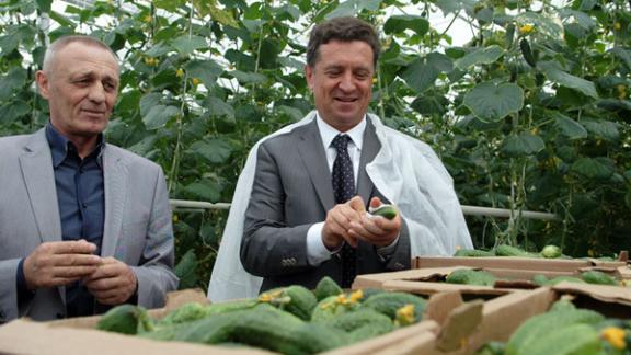 Нужны теплицы, элеваторы, бассейны