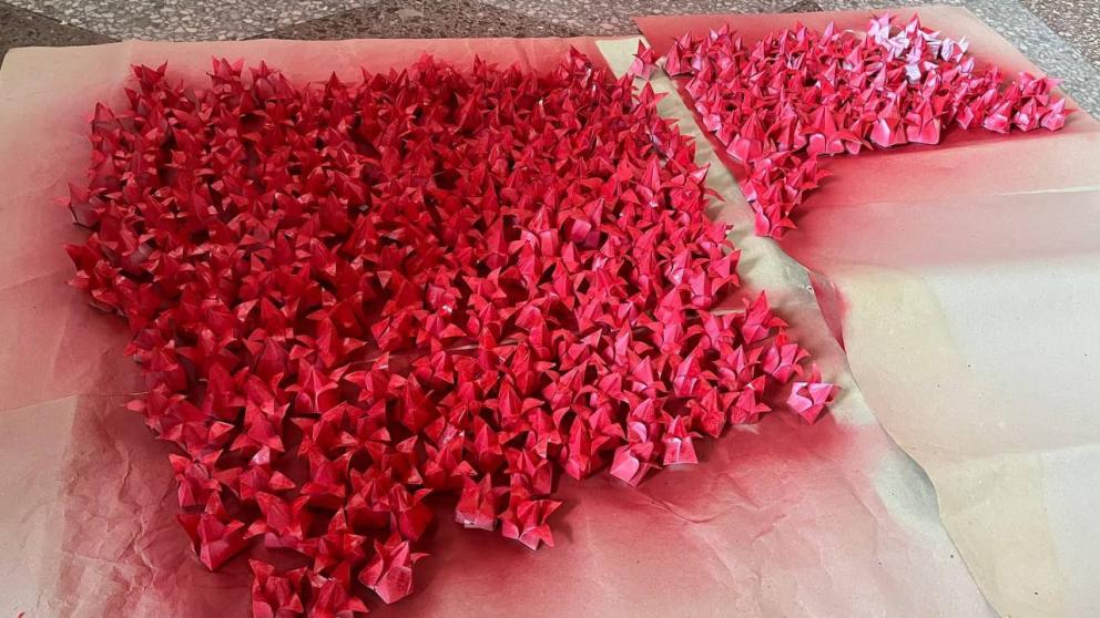 Акция «Красный тюльпан» пройдёт в Кировском округе Ставрополья