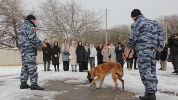 Полиция Ставрополья объявила о старте Всероссийской акции «Студенческий десант»