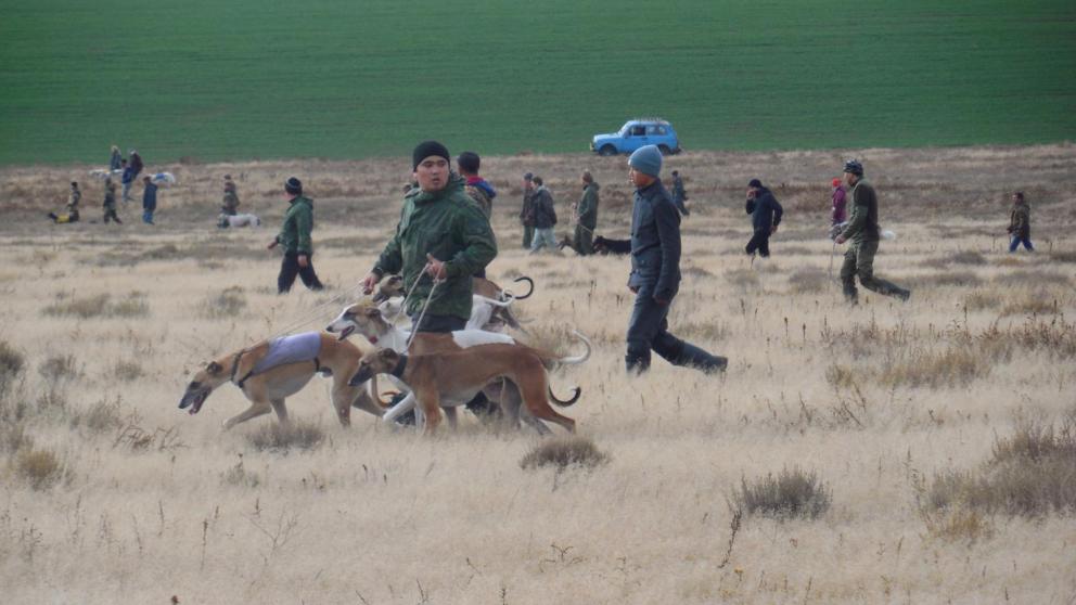 На Ставрополье для собак пройдут всероссийские состязания по зайцу-русаку