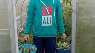 Постояльцы Балахоновского психоневрологического интерната трудятся в теплицах