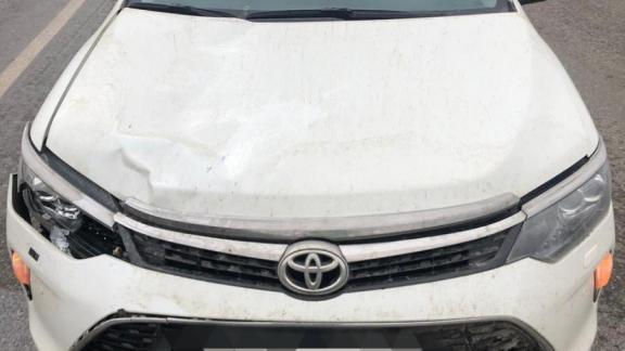 На Ставрополье 10-летний мальчик погиб под колёсами иномарки