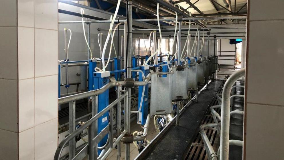 За 5 лет ставропольские хозяйства повысили производство молока на 40 процентов