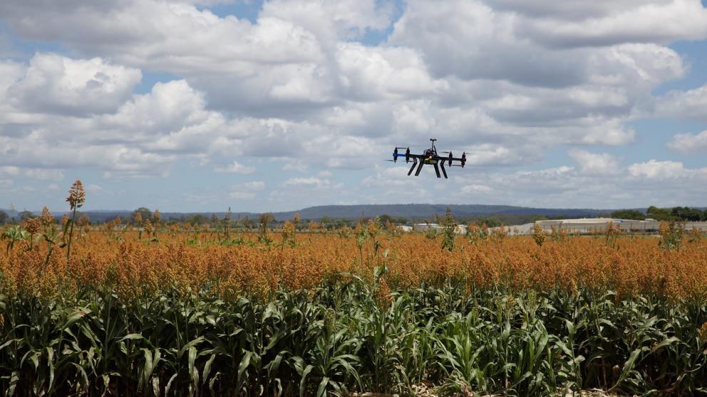 На Ставрополье аграрии могут отслеживать климатические показатели в геоинформационной системе