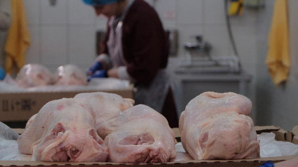 Ставропольская курятина отправится на экспорт без задержек