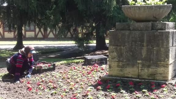 В Ессентуках высадят 160 тысяч летних цветов