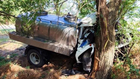 В Ипатовском округе Ставрополья лихач на молоковозе въехал в дерево