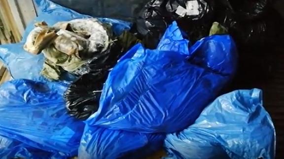 Браконьер пытался перевезти на Ставрополье рыбу ценой в 5 миллионов рублей