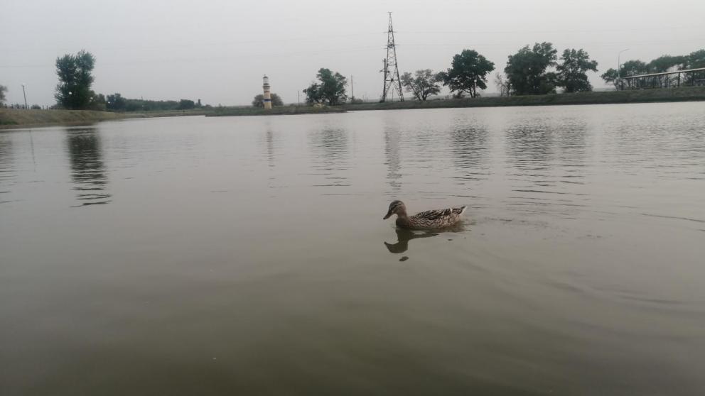 На Ставрополье завершился капитальный ремонт трех гидросооружений