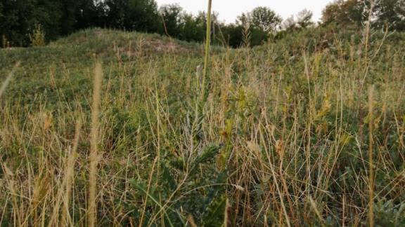 На Ставрополье на 380 гектаров увеличилась площадь особо охраняемых природных территорий