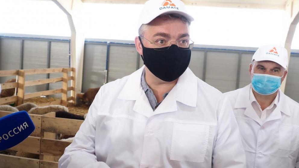 На Ставрополье реализован очередной этап проекта по созданию крупного производства баранины