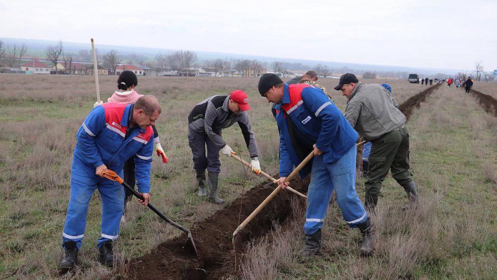 В Новоселицком округе состоялась масштабная акция «Сад памяти»