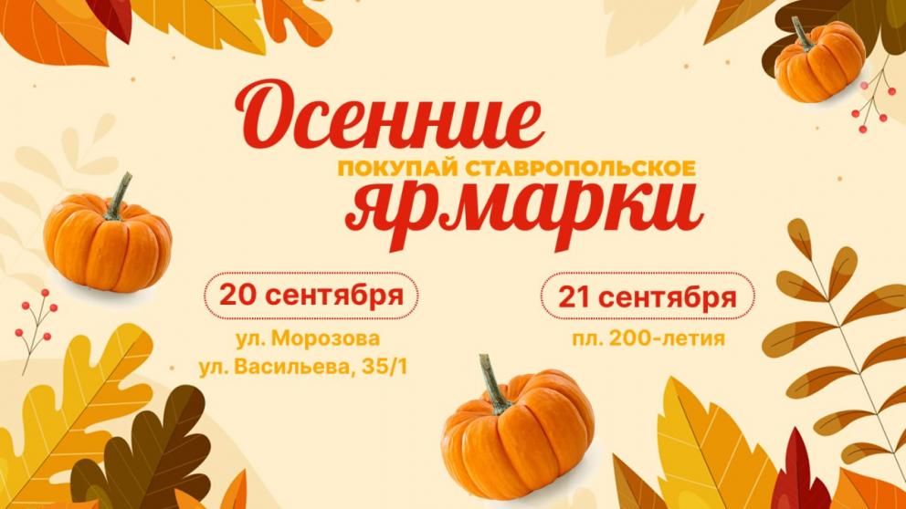 Праздничная ярмарка пройдет на выходных в Ставрополе