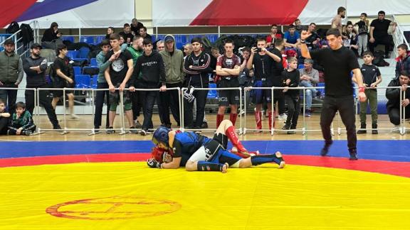 Борцы из Кисловодска завоевали 10 золотых медалей на краевых соревнованиях