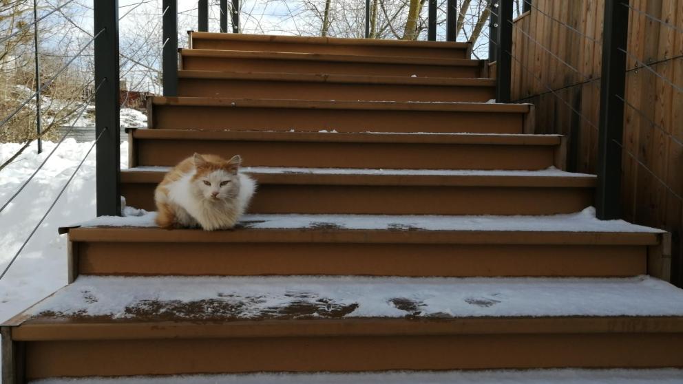 На Ставрополье 2 и 3 апреля прогнозируют заморозки