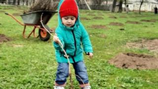 В Курском округе Ставрополья местные жители посадили «Сад памяти»