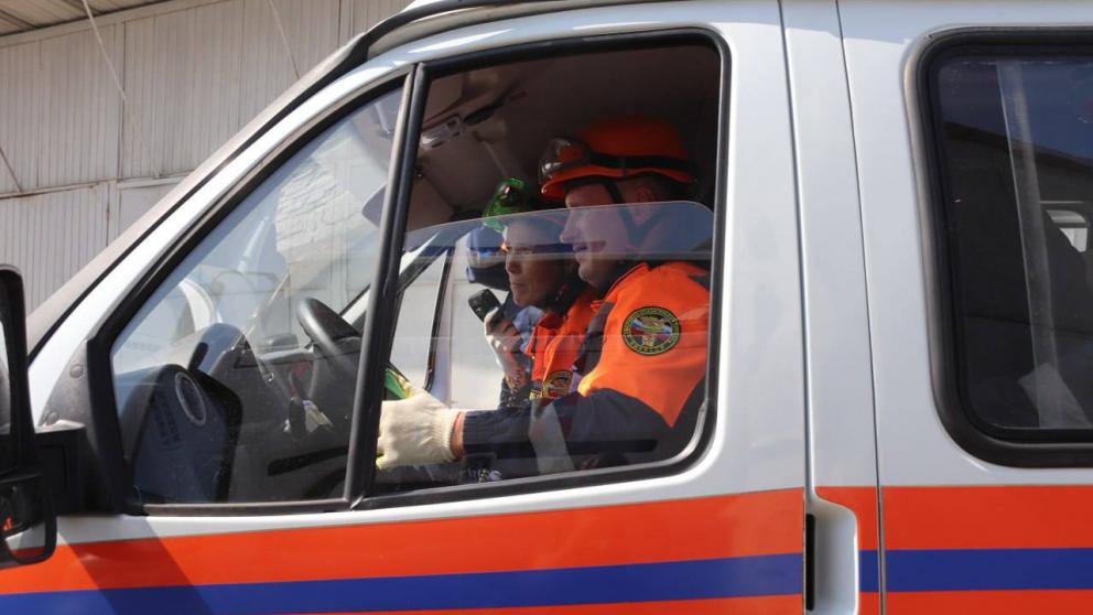 В Ставрополе спасатели помогли девочке, загнанной на дерево стаей собак