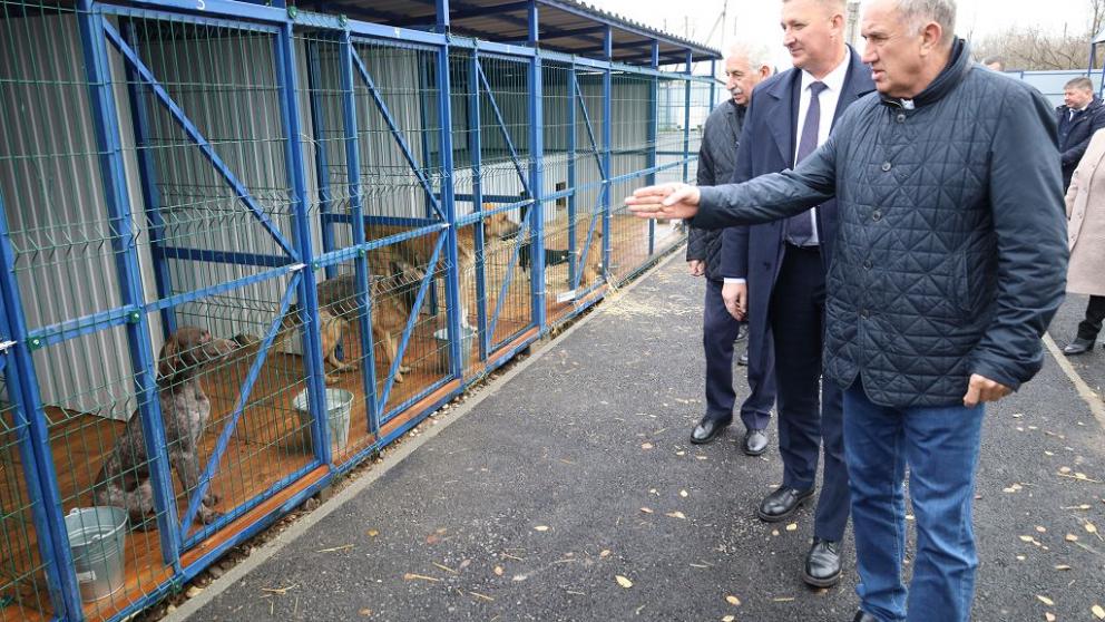 Депутаты Ставрополья оценили работу приюта для животных в Изобильненском округе