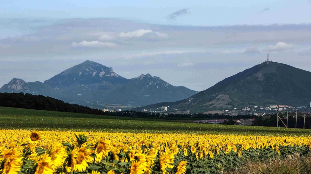 На Ставрополье стартовали съёмки проекта VK «Места»