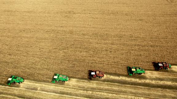К уборке озимой пшеницы приступили аграрии Ставропольского края