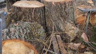 В Ставрополе заменили плиту на могиле ветерана после падения дерева