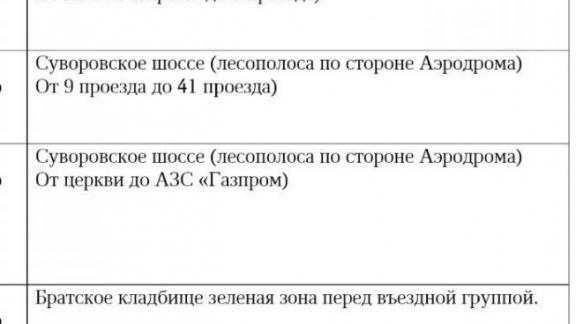 Глава Ессентуков: Пока не наберём штат уборщиков территории, будем помогать