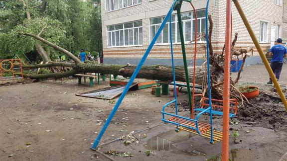 Спасатели расчистили детский сад от обрушившихся деревьев в селе Левокумском