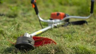 В Ставрополе вышли на борьбу с амброзией