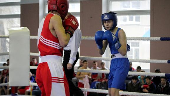 Юниоры сразились на первенстве края по боксу в Кочубеевском районе