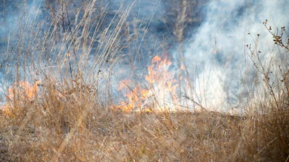 В Ставрополе на Старомарьевском шоссе горит сухостой