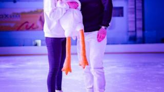 Предложение руки и сердца сделали в Ледовом дворце Невинномысска