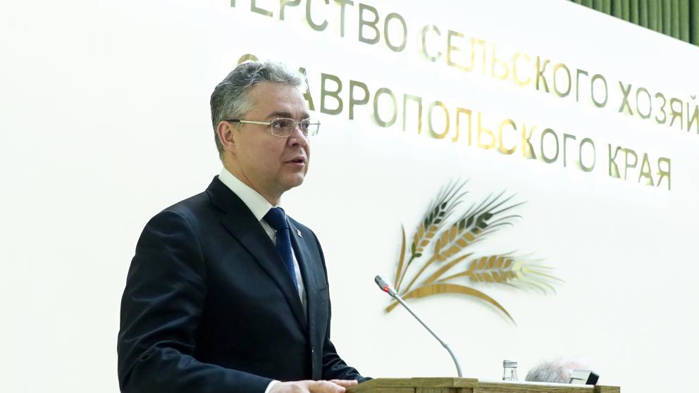 Владимир Владимиров: 2020 год продемонстрировал возросшую устойчивость ставропольского села
