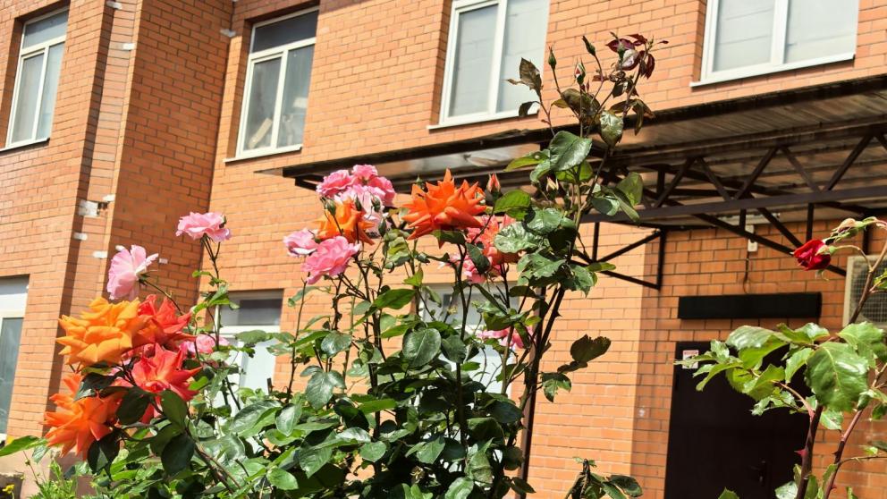 Дворовые территории благоустраивают в Минеральных Водах Ставрополья