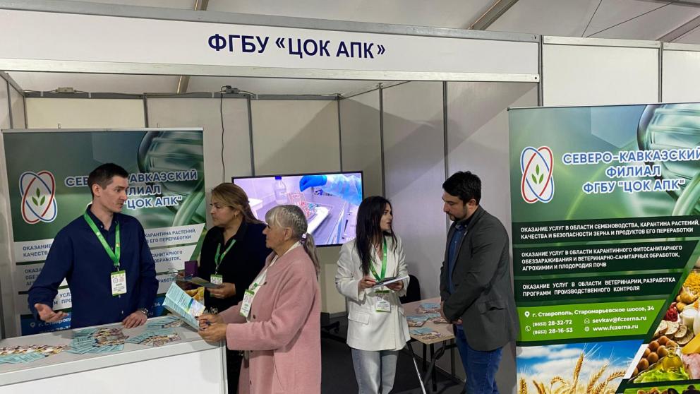 По итогам Российской выставки племенных овец Ставрополье признано одним из самых активных ее участников