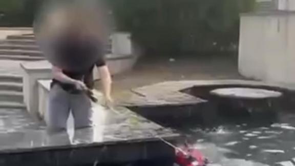 Железноводчанка искупала собаку в фонтане